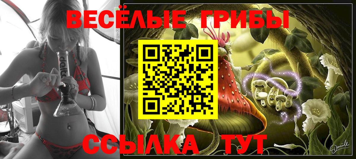Галлюциногенные грибы прущие грибы Шахты